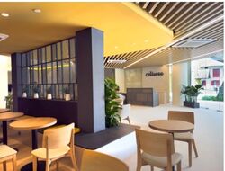 Coliwoo Midtown (D7), Apartment #546982331